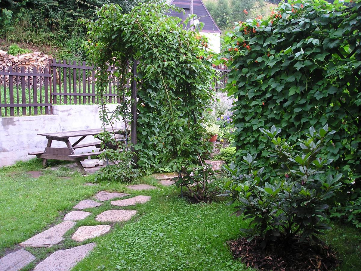 Apartman Svoboda Svoboda nad Upou Bagian luar foto